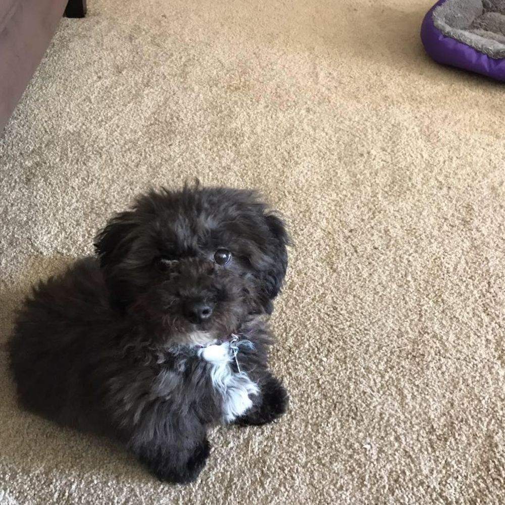 Meet your Posher, Sandra